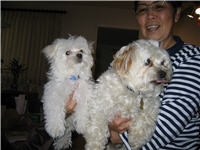 Roscoe n Bobo